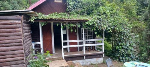 Châlet 26 m2 à 5 minutes à pied pet-friendly hotel Castagniers