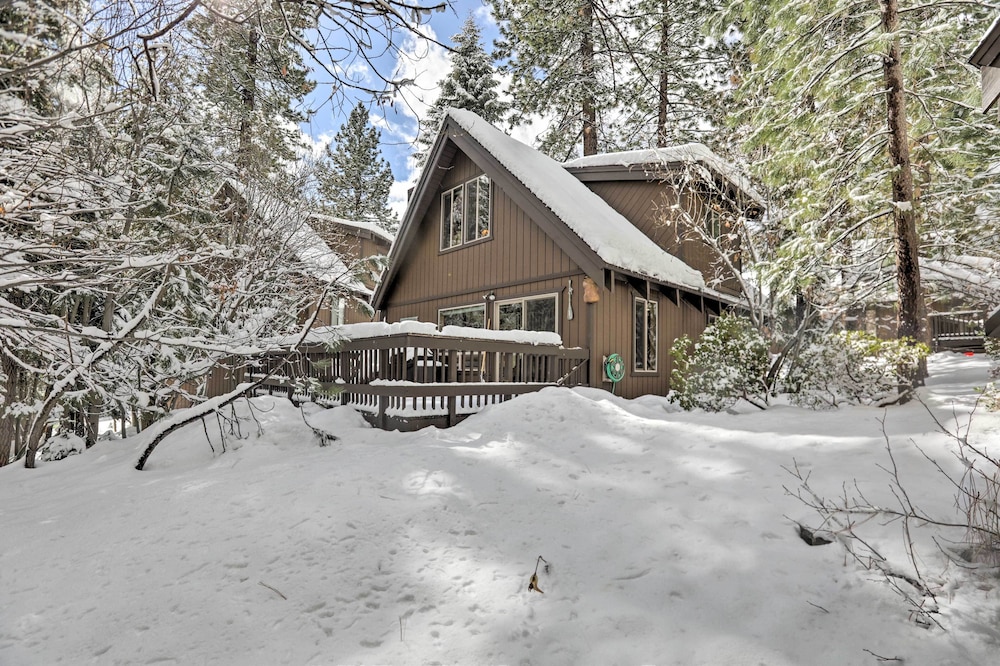 Lazy Bear Cabin