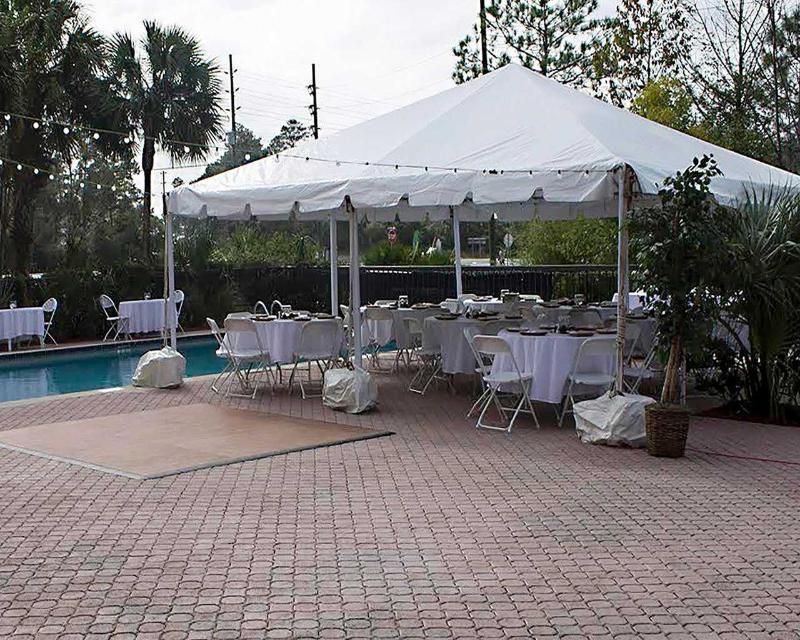 Quality Inn Weeki Wachee Spring Hill - photo 11