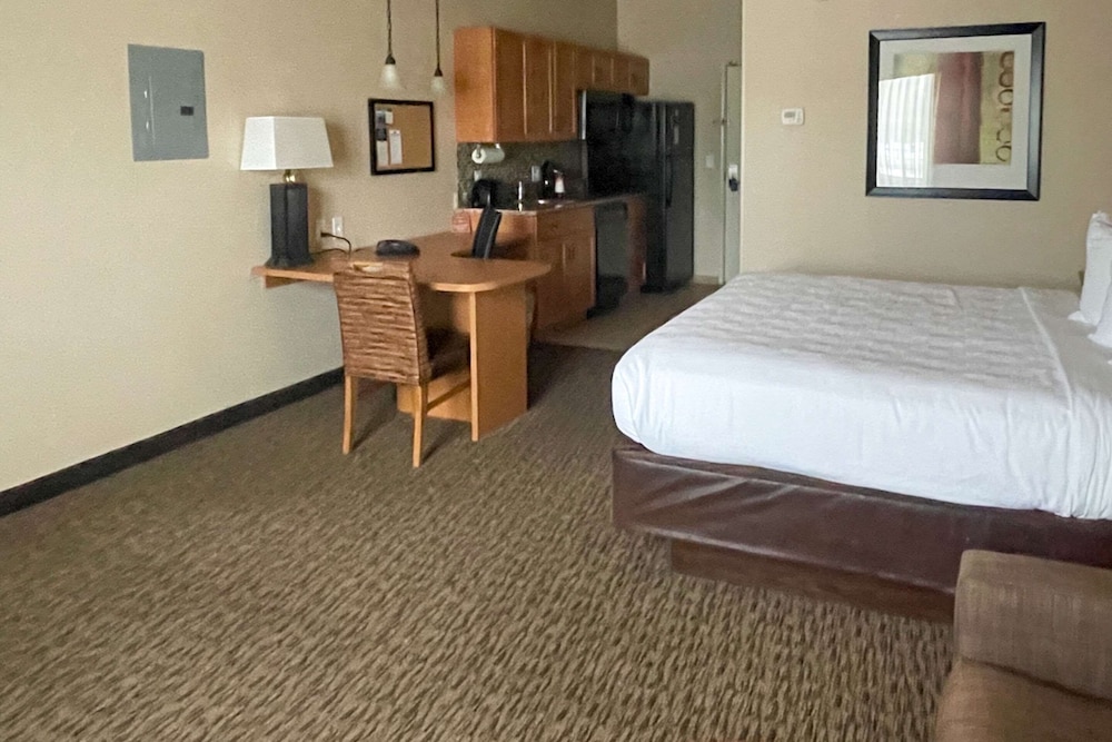 MainStay Suites Sidney Medical Center - photo 9