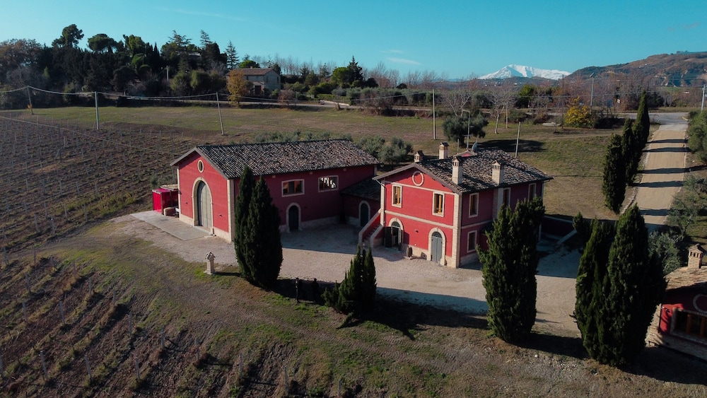 Cantina D Erasmo Camere E Degustazioni — Offida
