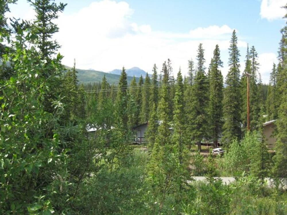 Denali Perch Resort - photo 57
