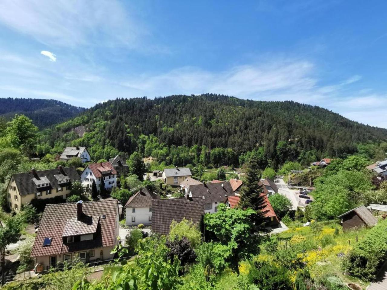 Ferienwohnung Am Rubersbach — Hornberg — photo 4