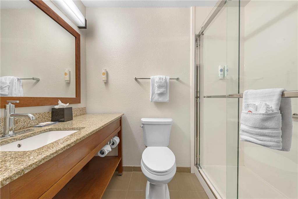 Comfort Inn & Suites Carbondale on the Roaring Fork - photo 37