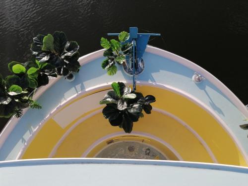 Esprit Peniche in Nantes, France