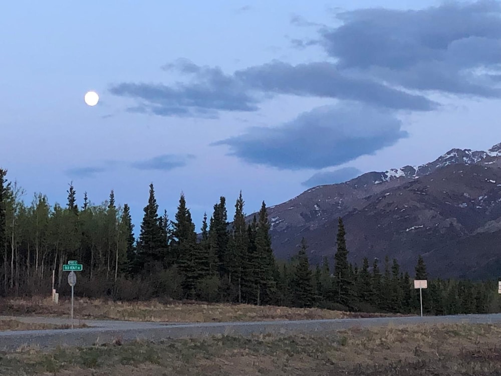Denali Park Hotel - photo 28