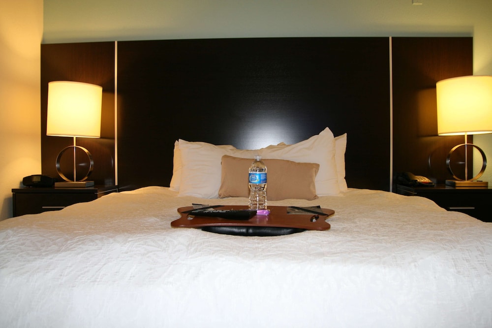 Hampton Inn Shreveport Airport - photo 25