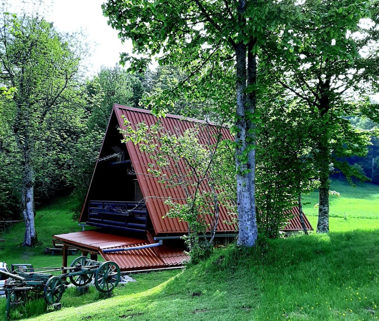 Kuca Za Odmor Gale — hotel in Delnice