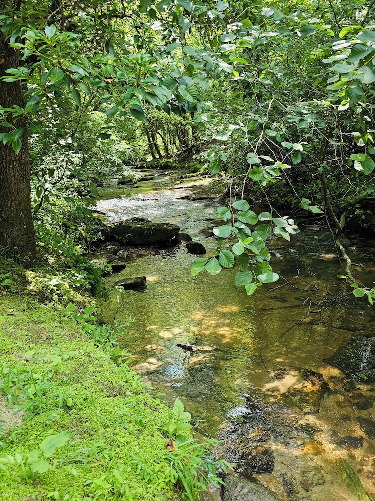 Copperhead Lodge and Resort Cabin Rentals - photo 46