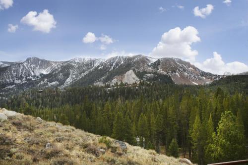 Aspen Creek - photo 7