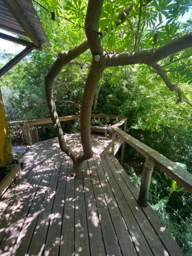 Habitacion Con Bano Privado Y Cama Doble — Piriapolis