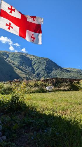 Rest point cottage Kazbegi
