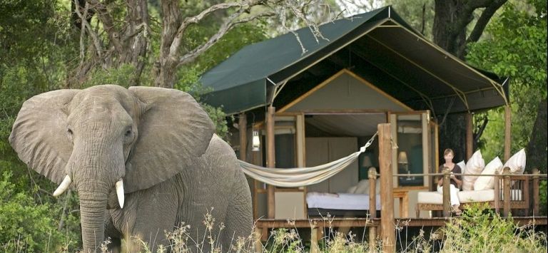 Sanctuary Stanleys Camp — Maun — photo 5