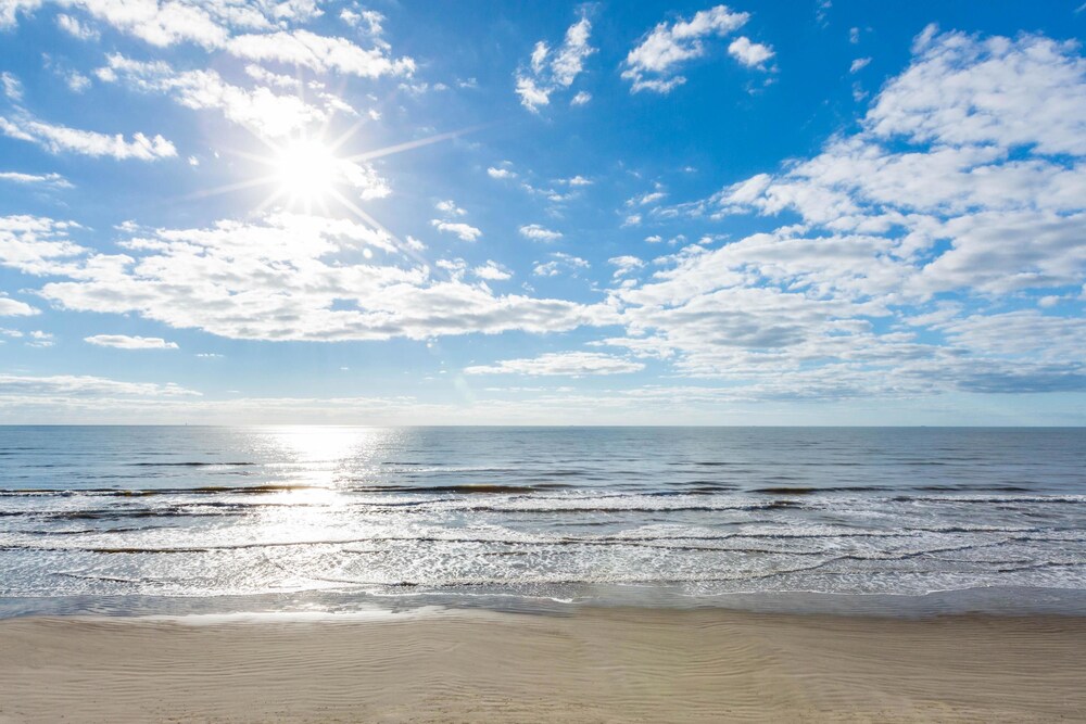 The Victorian - photo 197