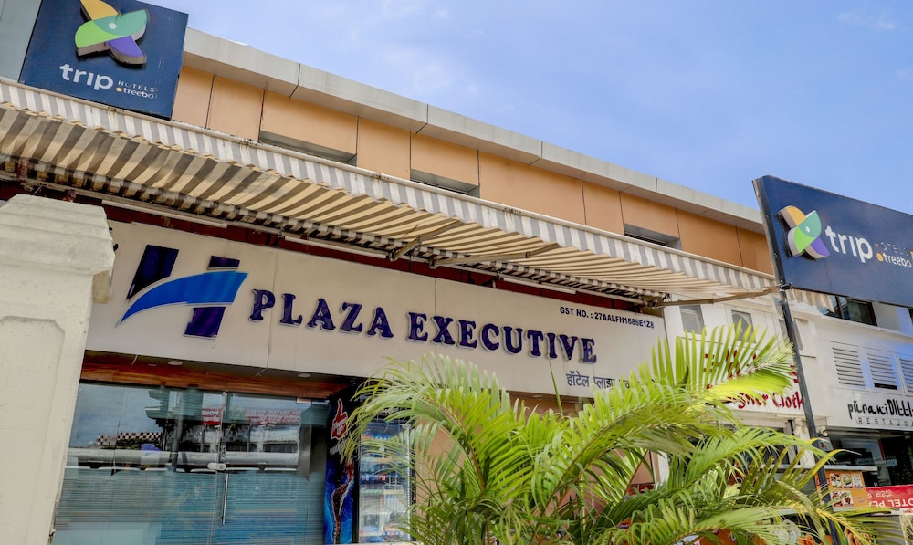 Treebo Plaza Executive