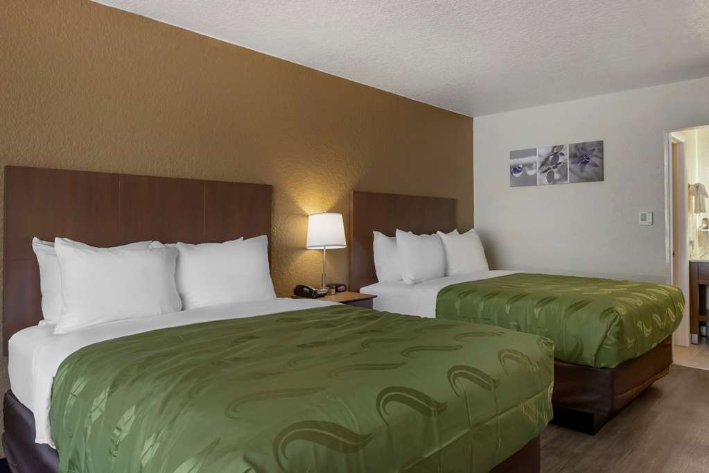 Quality Inn Saint Petersburg North Tampa Bay - photo 25