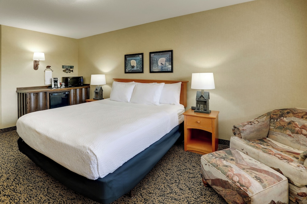 Stoney Creek Hotel La Crosse Onalaska - photo 8