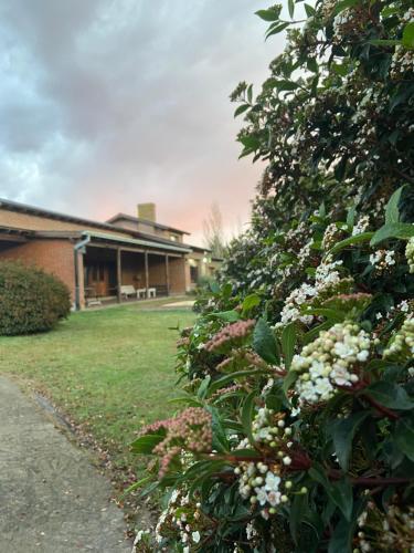 Quinta Ecuador Tandil — Tandil — photo 3