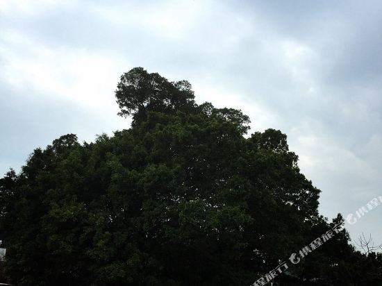 Victoria Star Hotels & Business Villages in Jincheng, Republic of China Taiwan