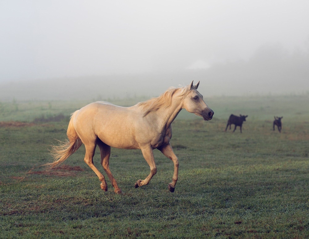 Seventy four Ranch - photo 23