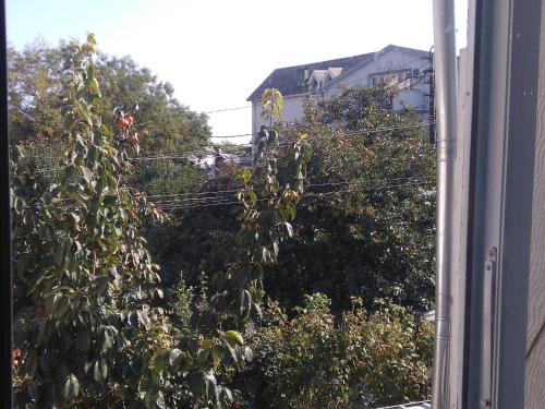 Apartment Avlabari