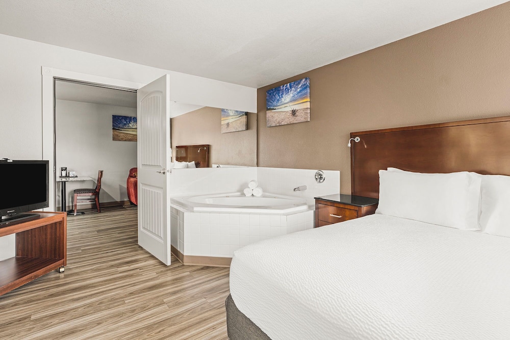 The Ashley Inn & Suites - photo 33