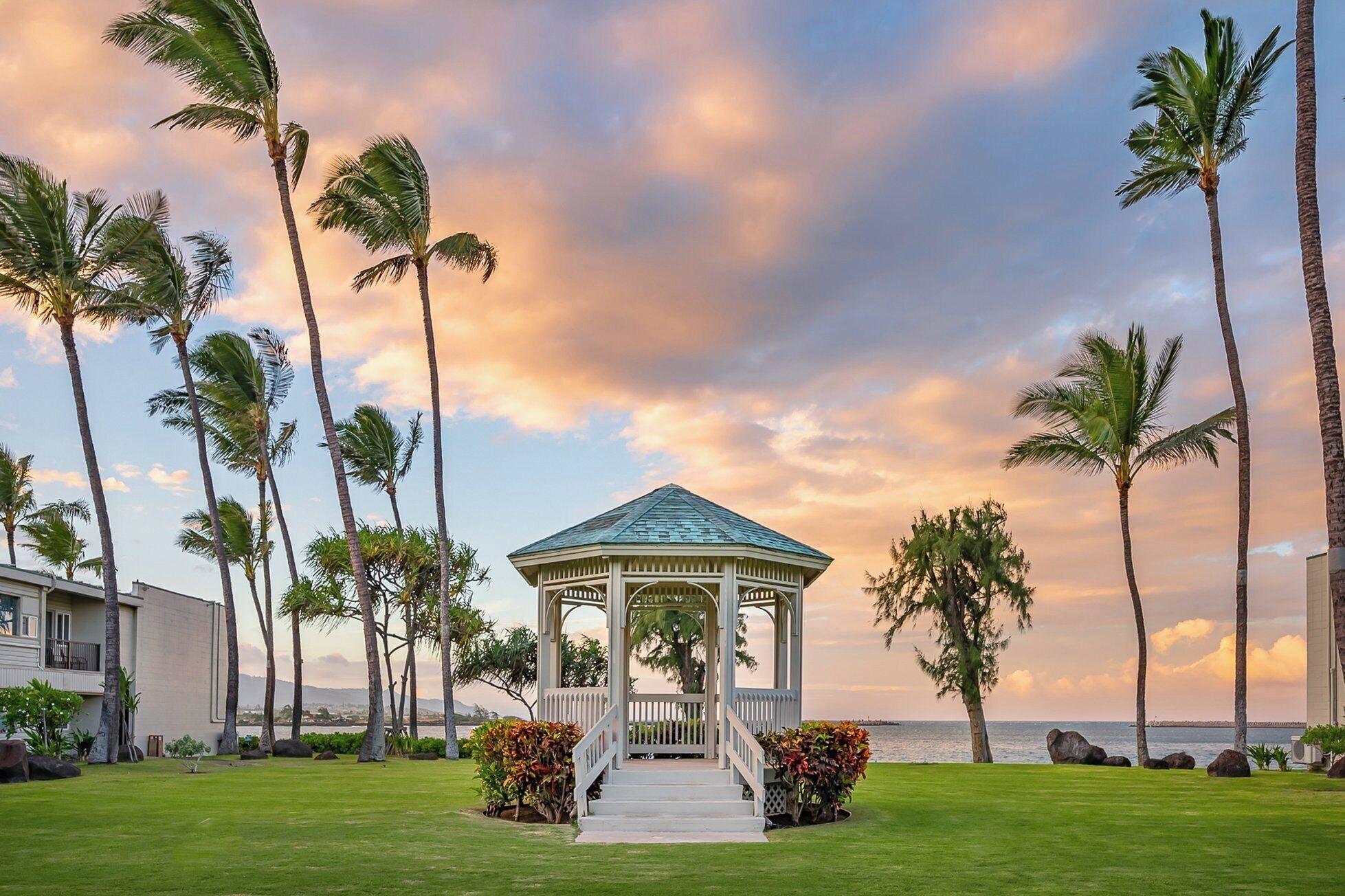 Maui Beach Hotel - photo 14