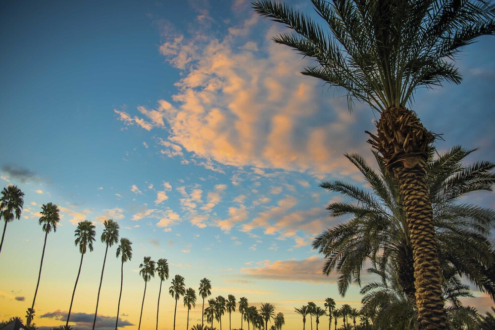 The Westin Rancho Mirage Golf Resort & Spa - photo 144