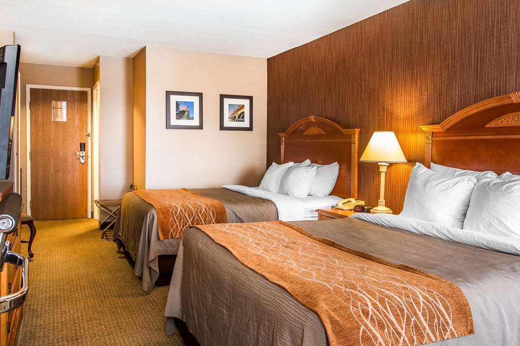 Comfort Inn Chelsea MI - photo 13