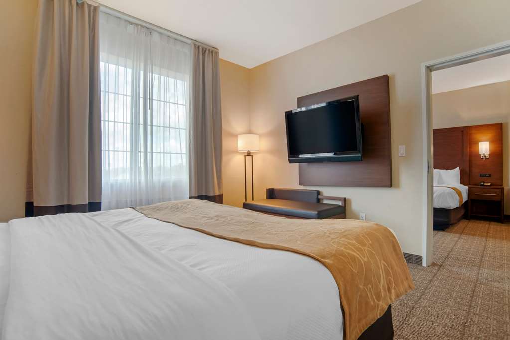 Comfort Suites Alexandria North - photo 17