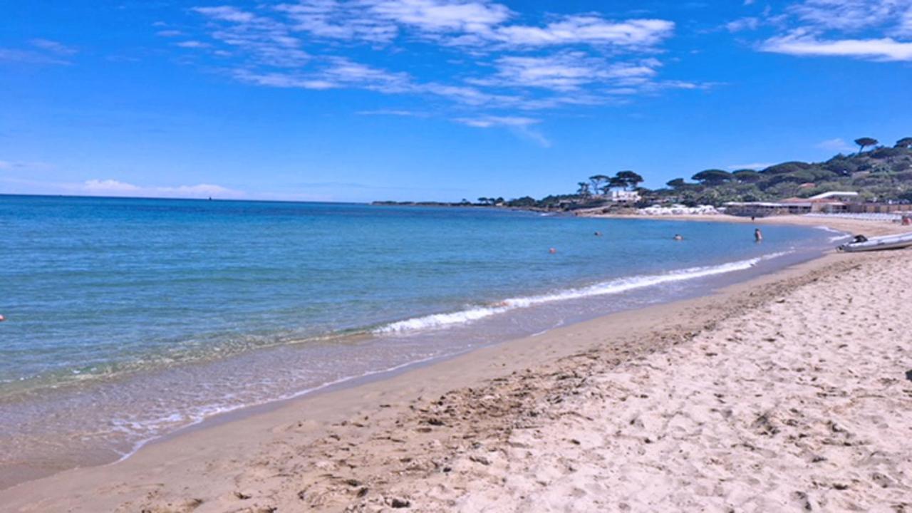Mas Des Pins — Sainte-Maxime — photo 4