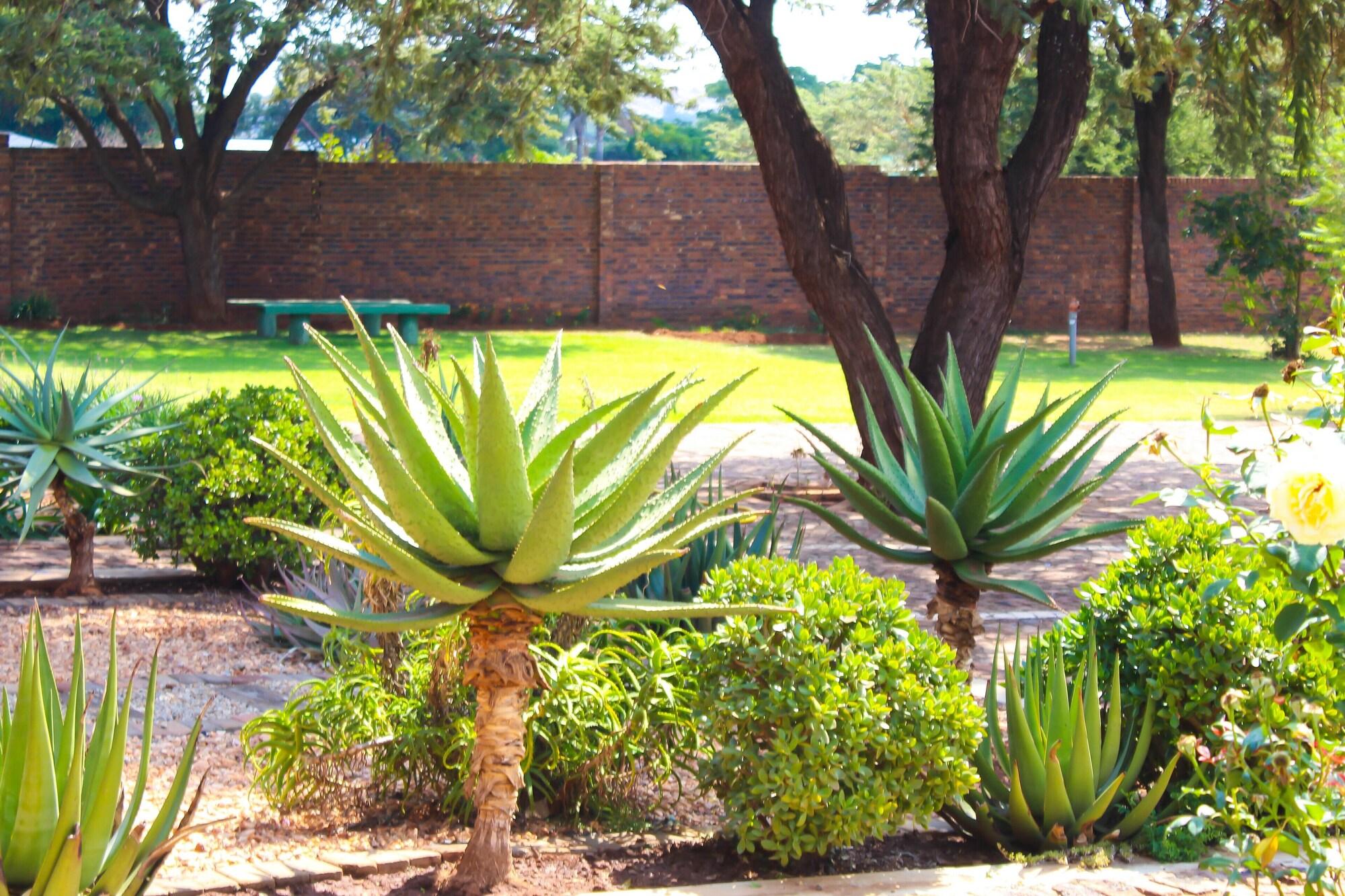 Zororo Lodge — 4-Star Luxury Hotel in Polokwane, South Africa