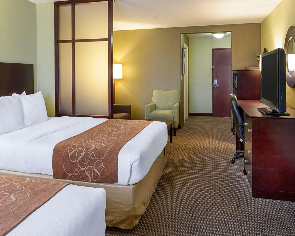 Comfort Suites Harvey New Orleans West - photo 18