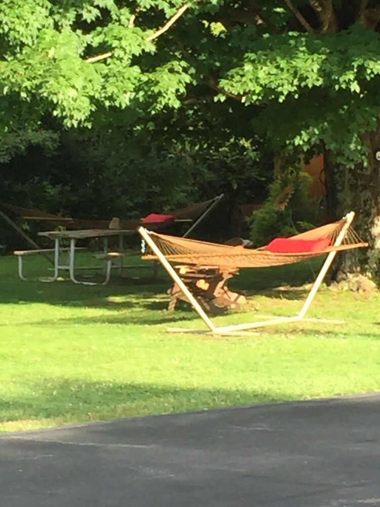 The Cardinal Inn - photo 31