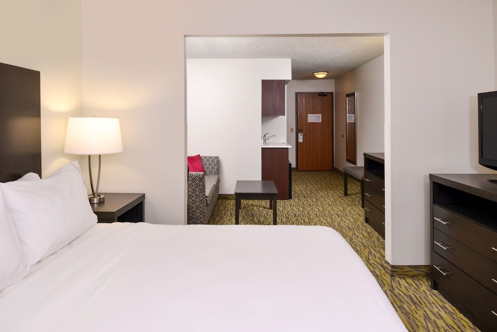 Holiday Inn Express & Suites Omaha West an IHG Hotel - photo 3