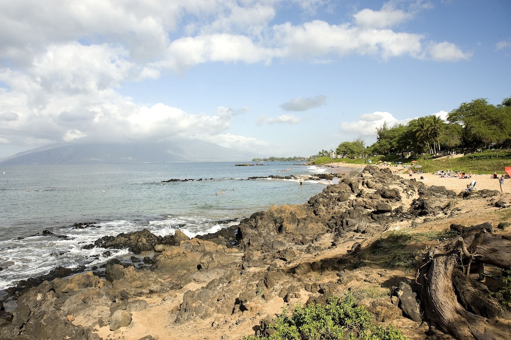 CRH Hale Kamaole - photo 49