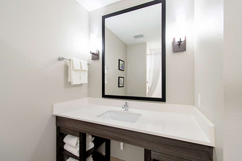 Comfort Suites Humble Houston IAH - photo 20