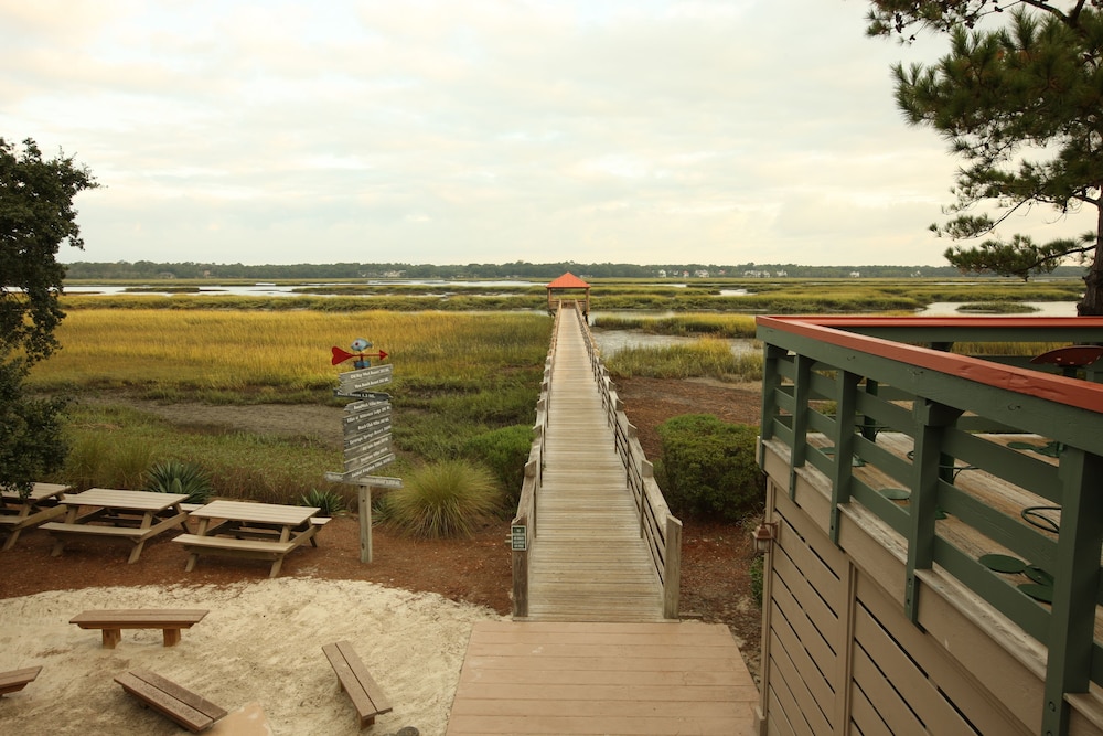 Disney's Hilton Head Island Resort - photo 48