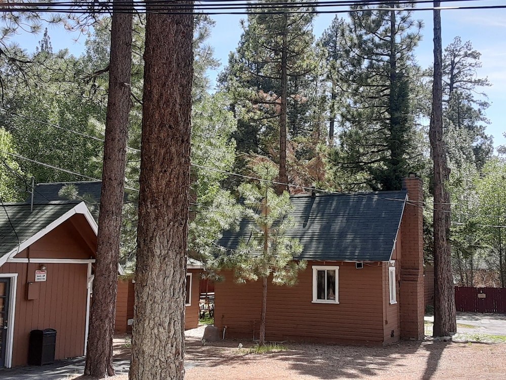 Grey Squirrel Resort - photo 166