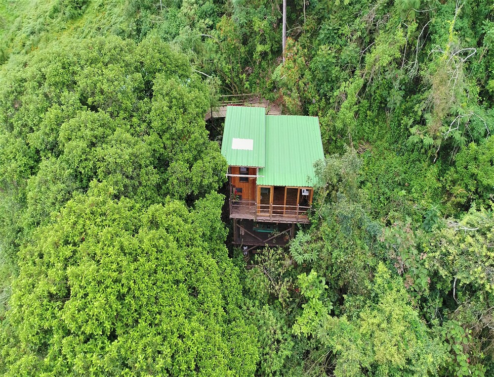 Entre Palos Eco Refugio in San Francisco, Colombia