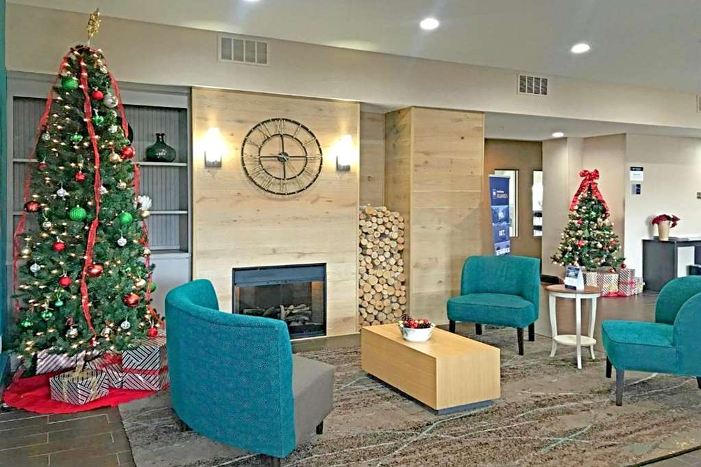 Comfort Inn & Suites O'Fallon St. Louis Area - photo 3