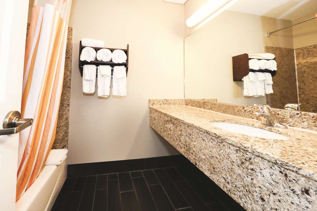 La Quinta Inn by Wyndham Sandusky near Cedar Point - photo 12