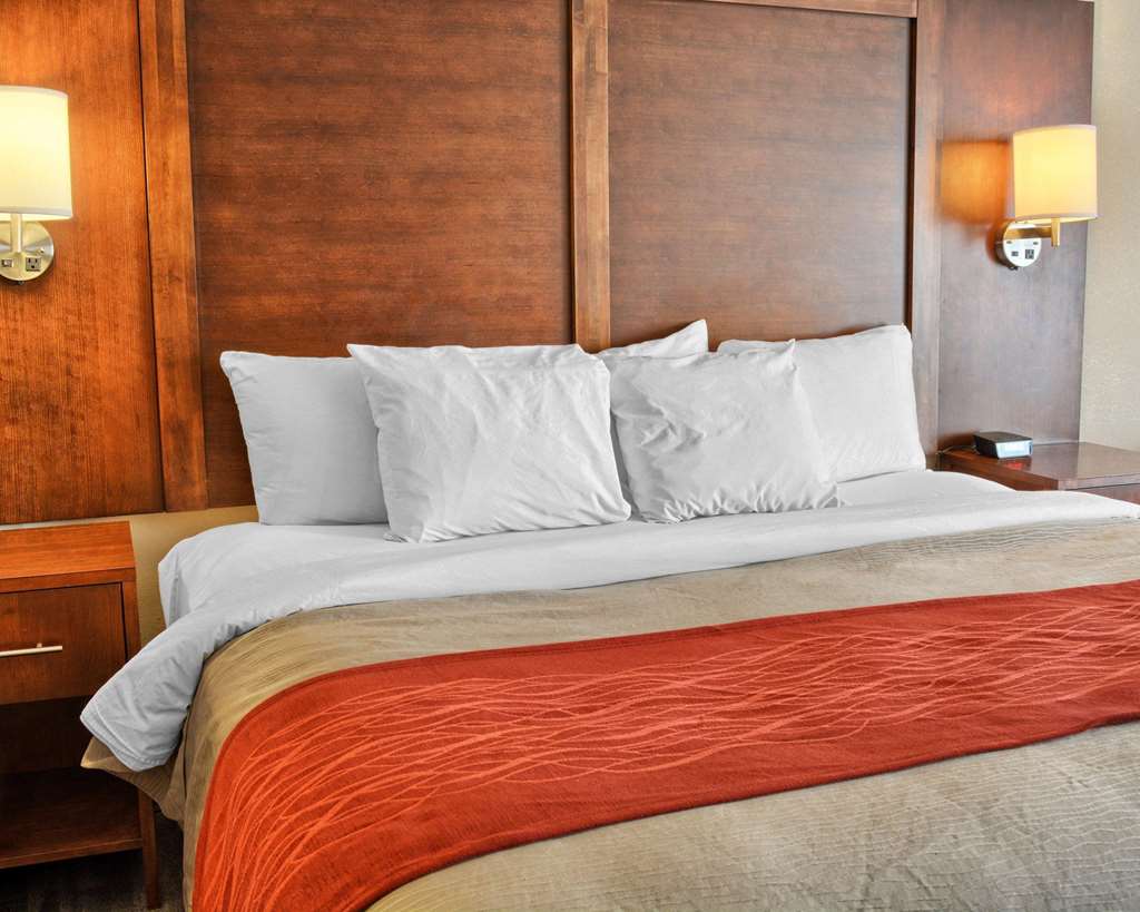 Comfort Inn Ruther Glen near Kings Dominion - photo 17