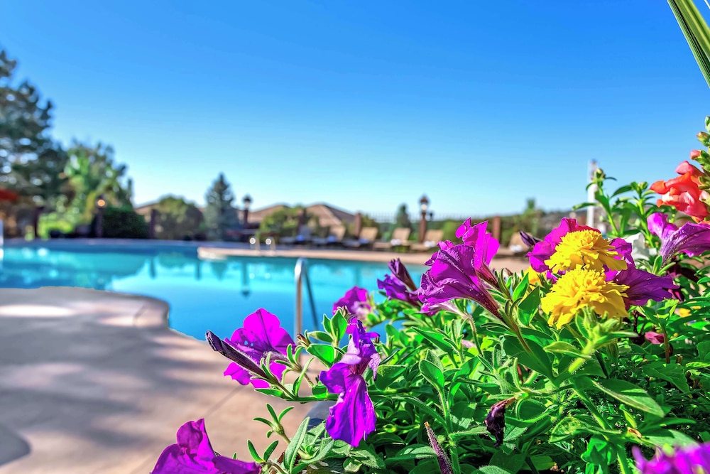 Cheyenne Mountain Resort a Destination by Hyatt Hotels - photo 19