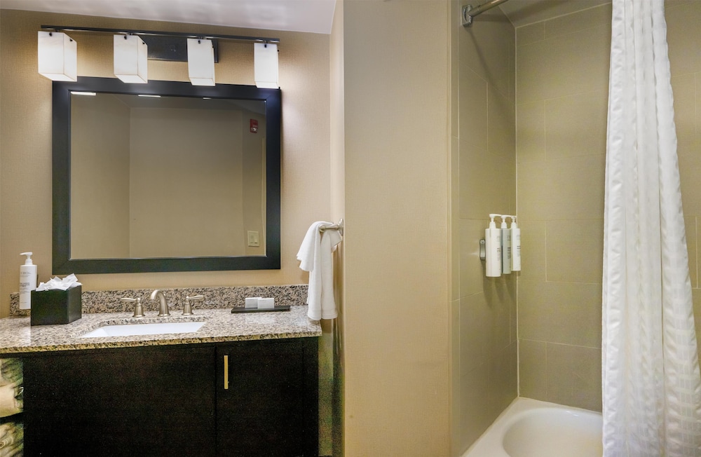 Hampton Inn by Hilton St. Louis Airport - photo 64