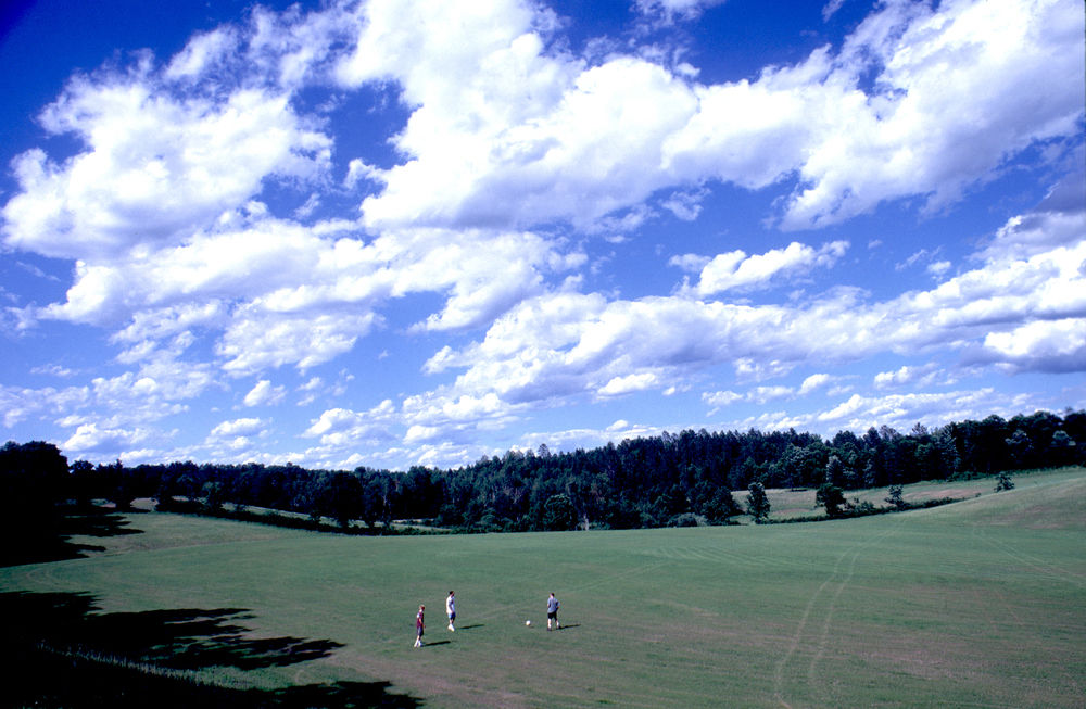Heartwood Resort & Conference Center - photo 24