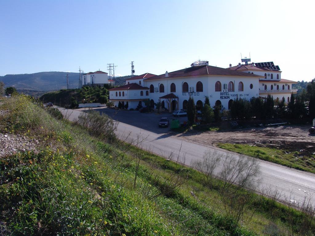Fuente del Pino .