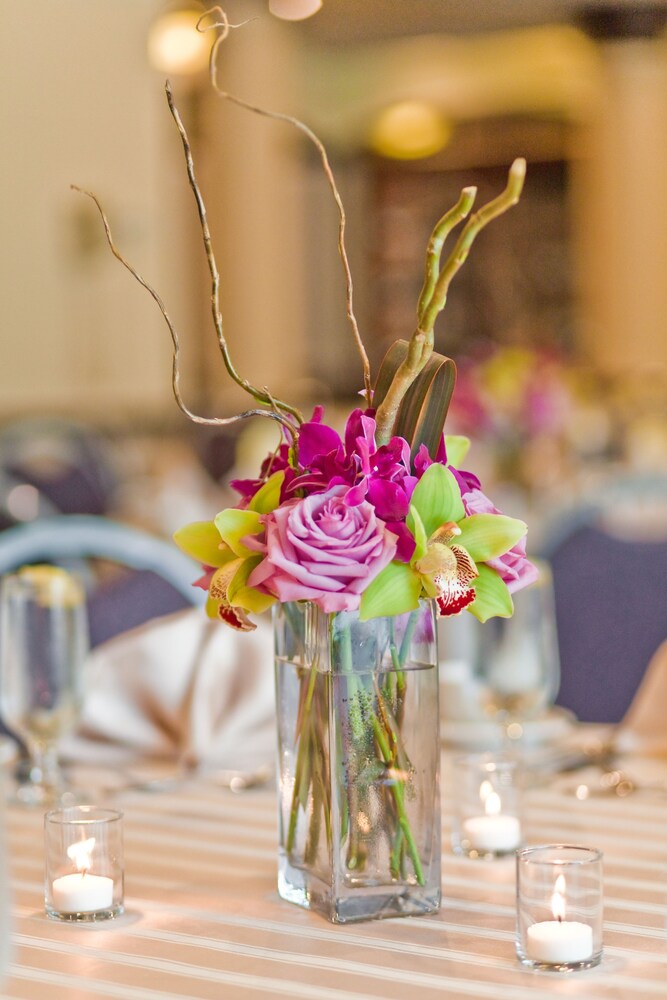 The Inn at Longwood Medical - photo 29
