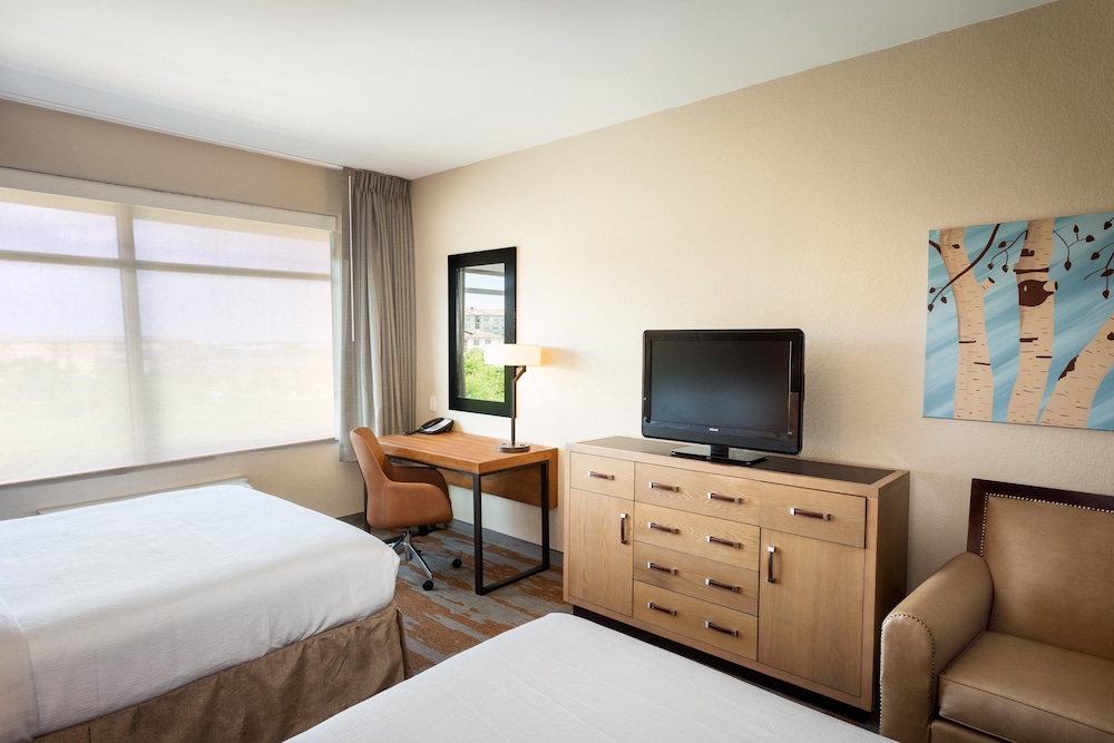 Holiday Inn San Antonio Seaworld by IHG - photo 10