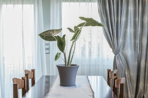 SunBeam Evia Apartment — Amarynthos — photo 4